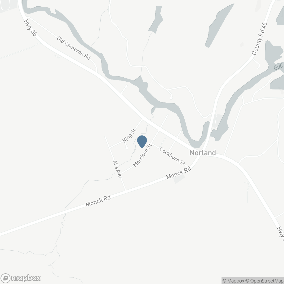 31 MORRISON STREET, Coboconk, Ontario K0M 2L0